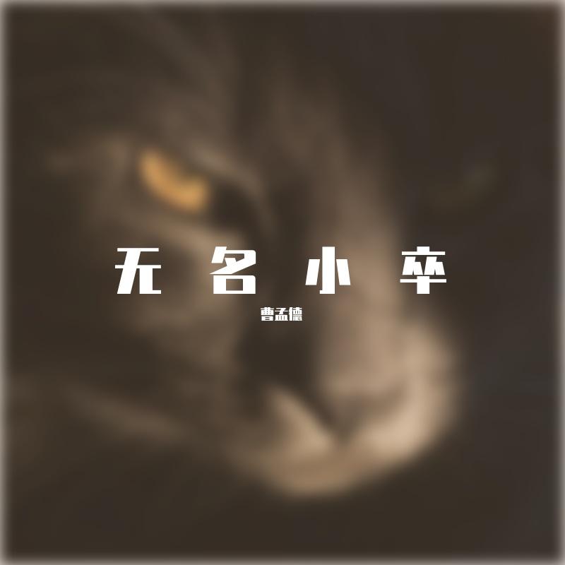 无名小卒封面