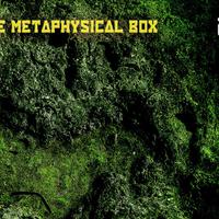 The Metaphysical Box