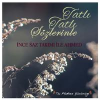 Tatlı Tatlı Sözlerinle (Taş Plaktan Günümüze)