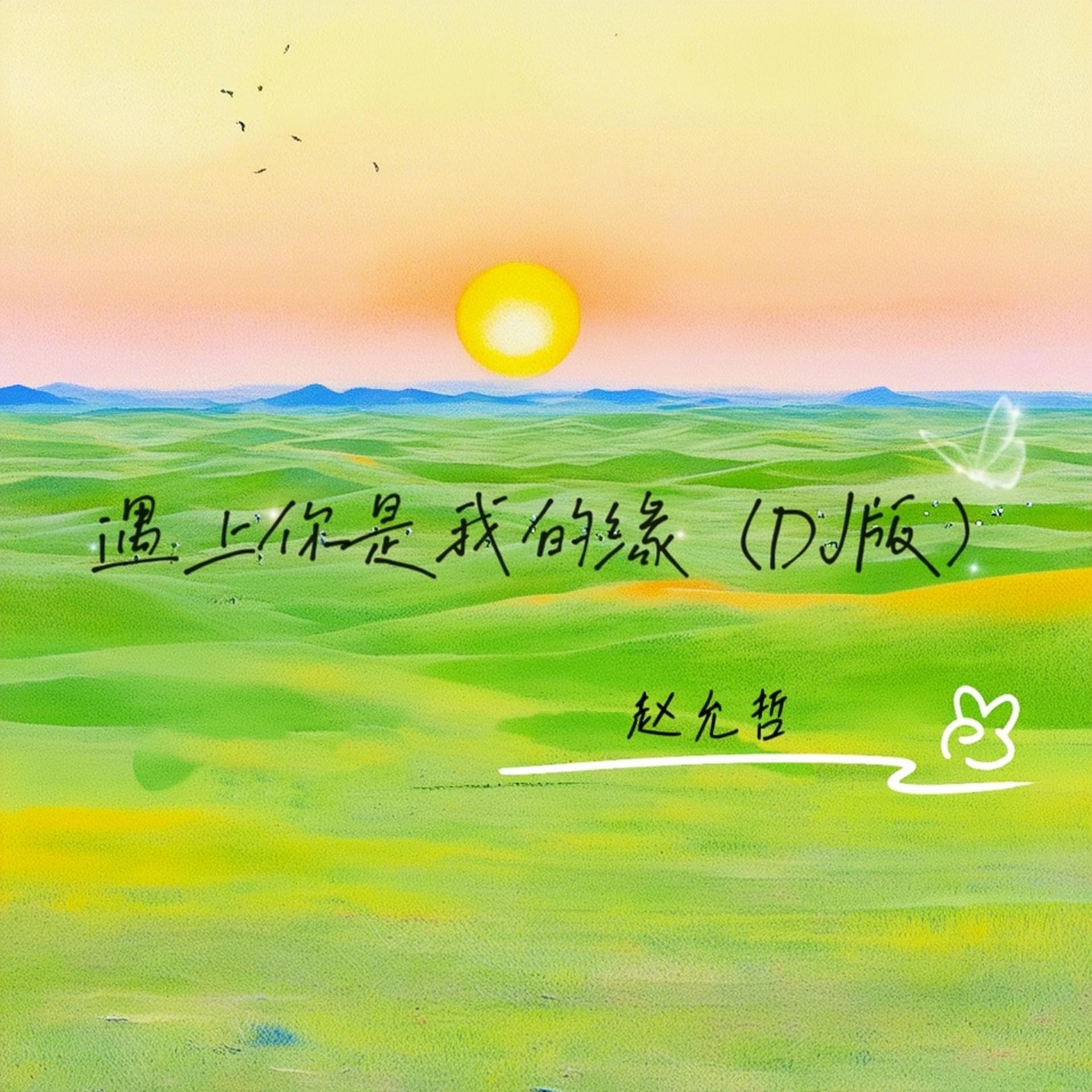遇上你是我的缘 (DJ版)封面