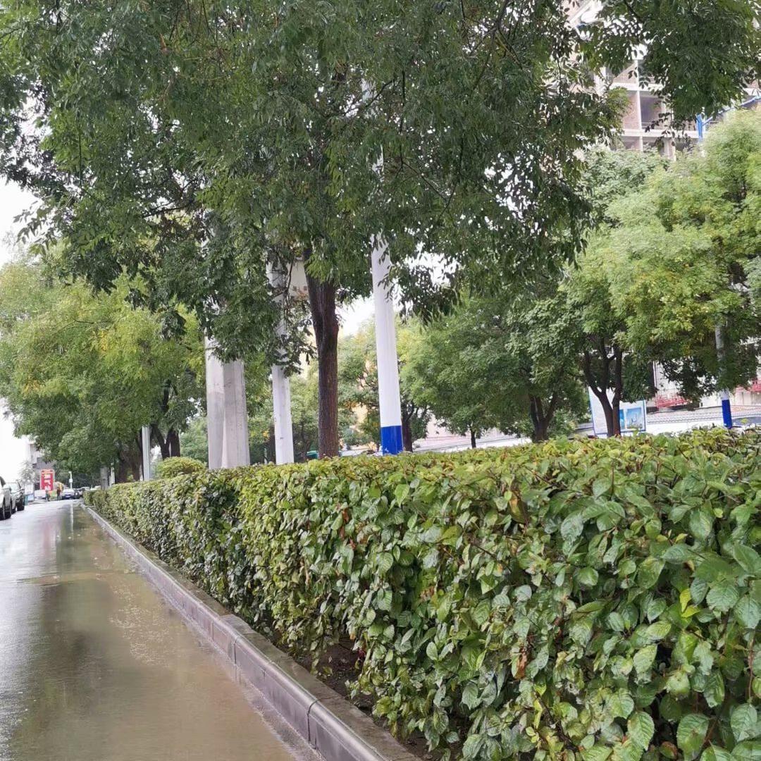 混账封面