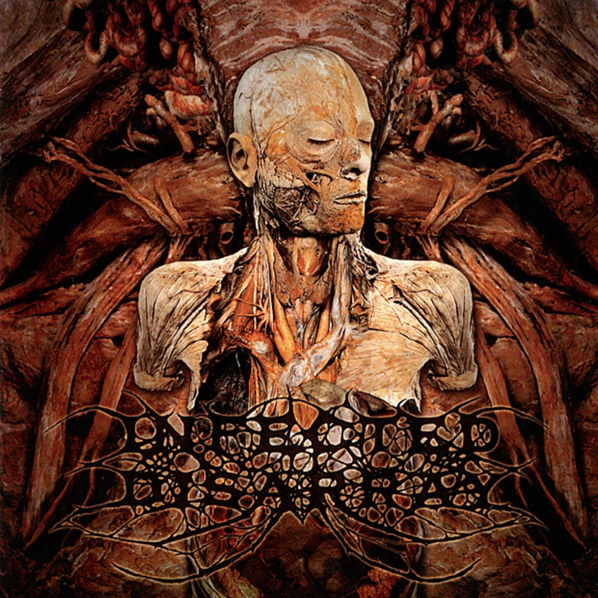 【INFECTED DISARRAY】