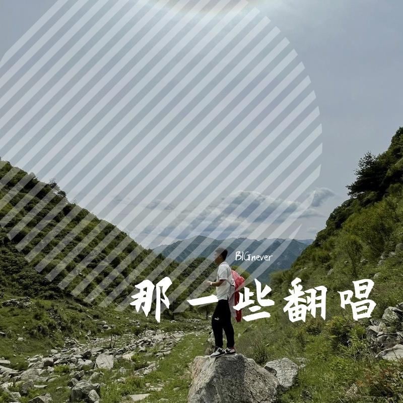 这么孤独着 - BIGnever封面