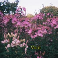 Void