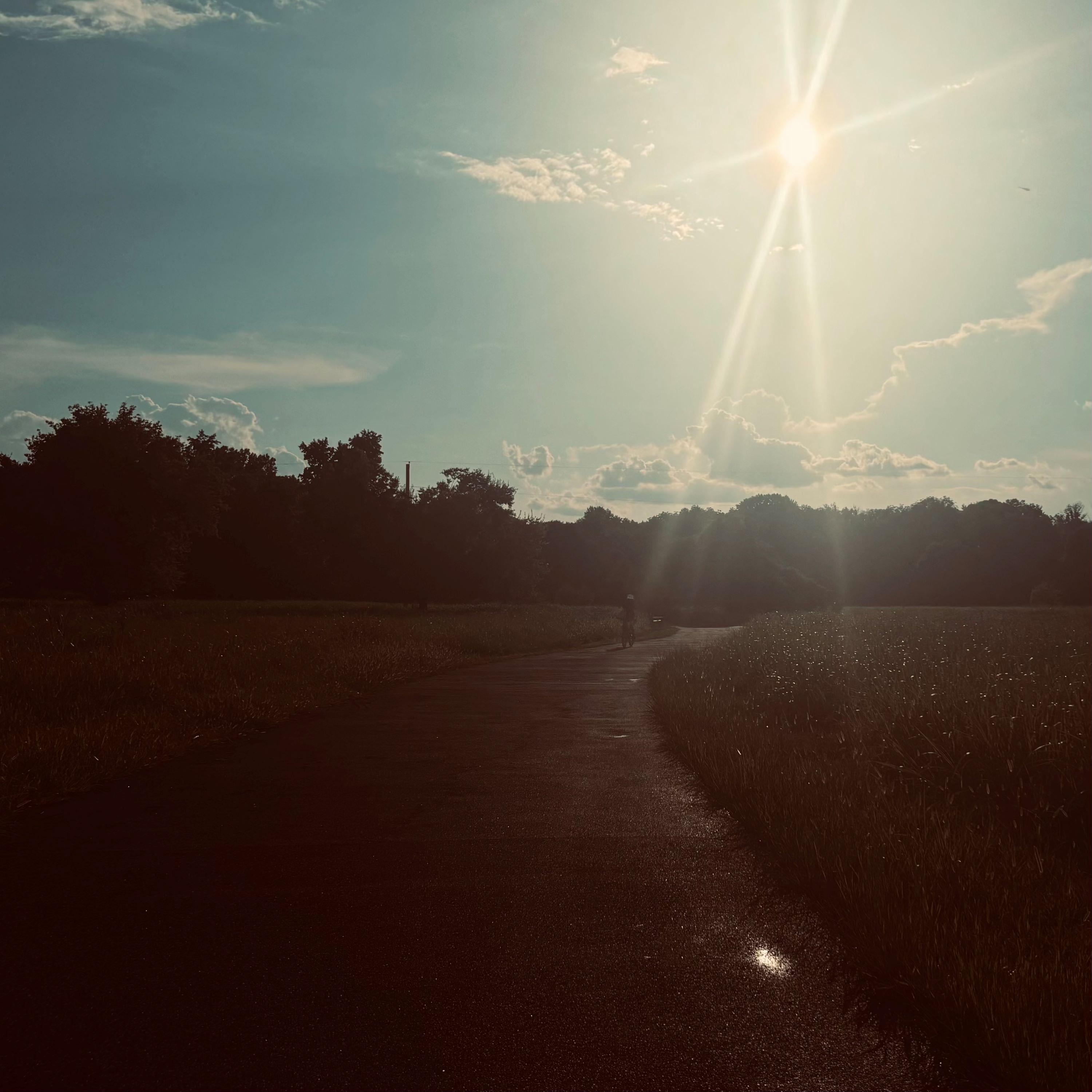 ASMR No Talking: Moving Movie Discs From CD Binder to Cases, Pt. 3