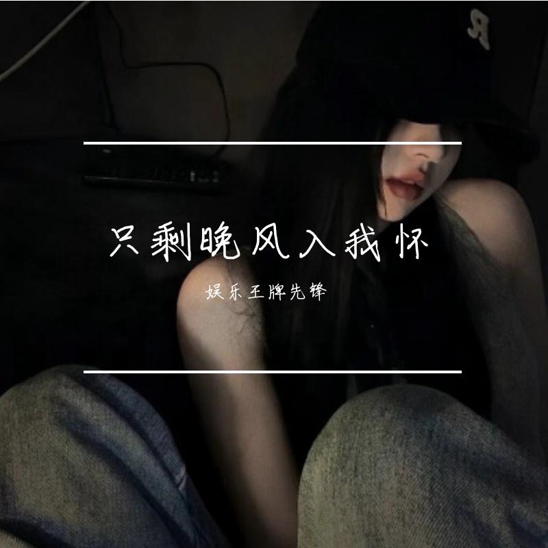 只剩晚风入我怀