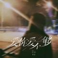 爱你爱不够(DJ版)封面
