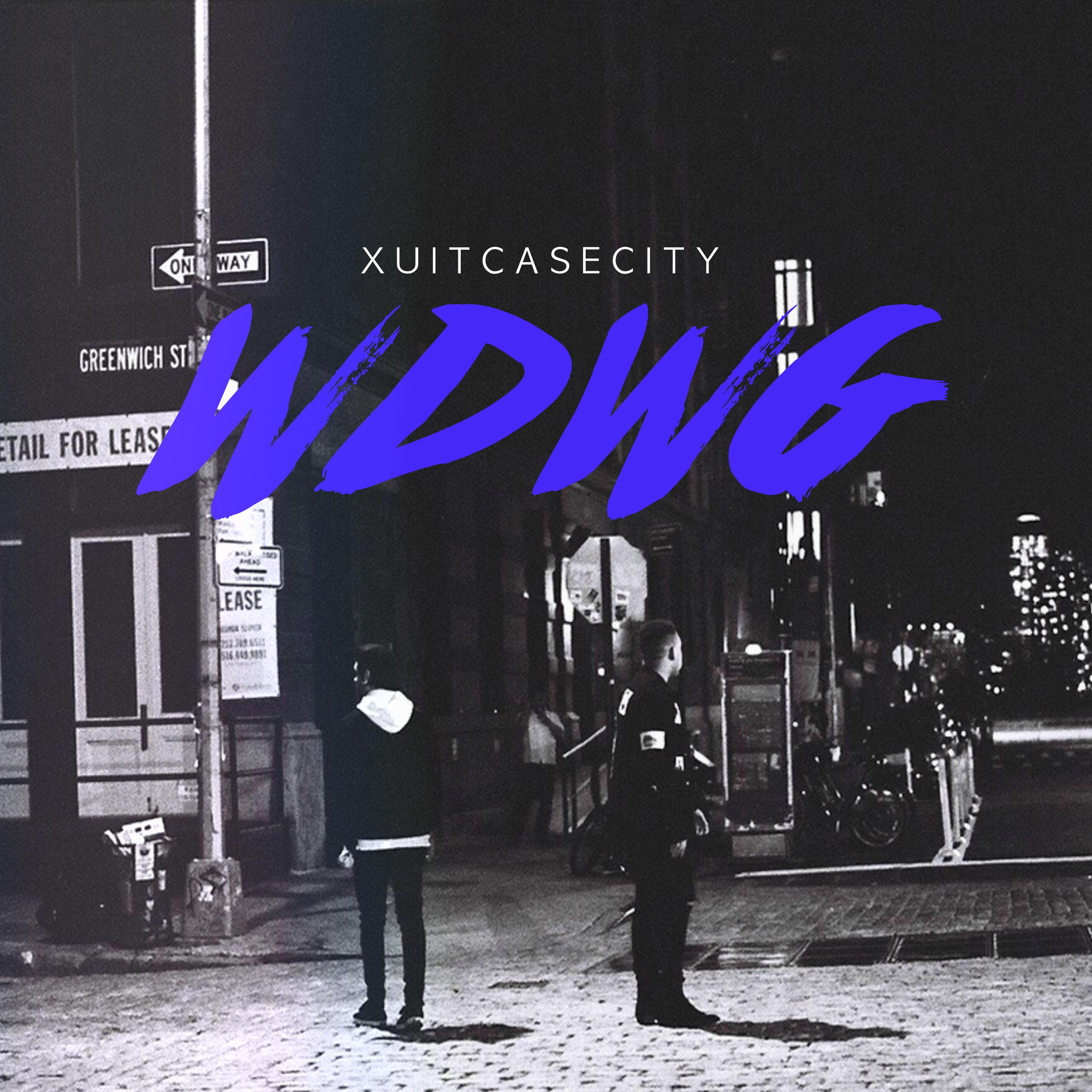 Where Do We Go_XUITCASECITY_Where Do We Go | 在线播放_Where Do We Go歌词_Where Do We Go下载 | 网易云音乐