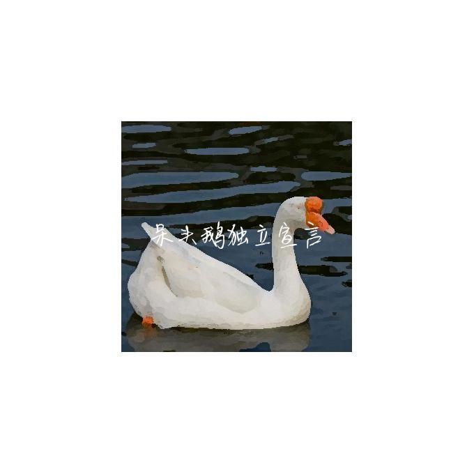 呆头鹅独立宣言封面