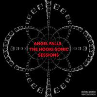 The Hooki-Sonic Sessions