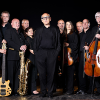 Michael Nyman Band