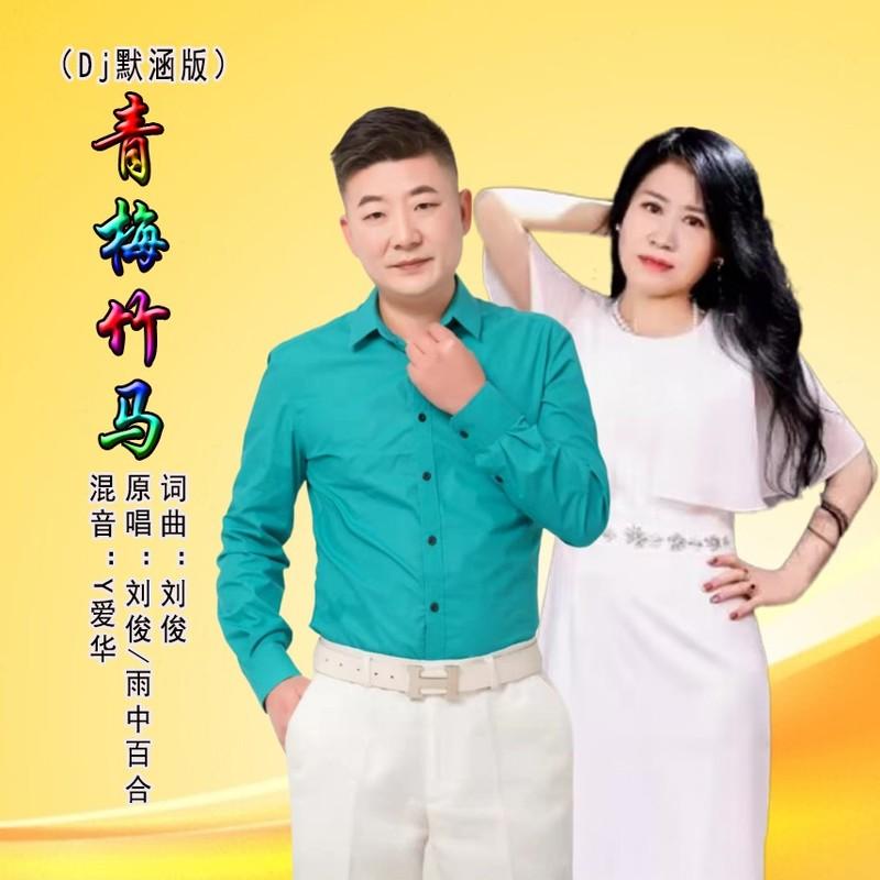 青梅竹马 (Dj默涵版)封面