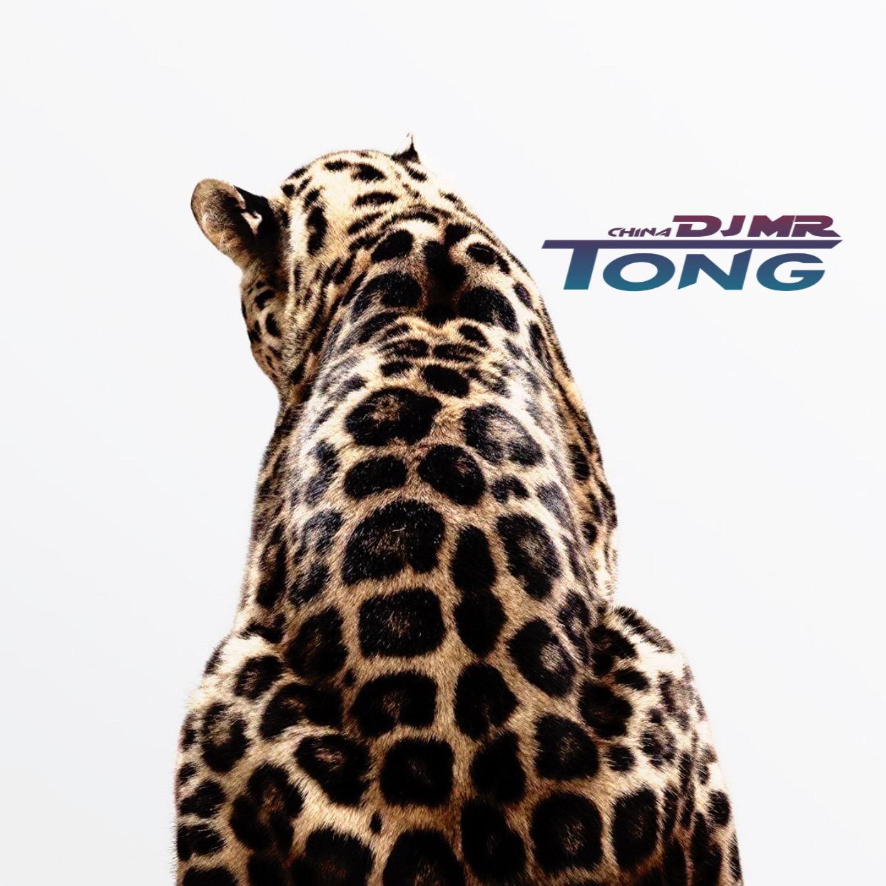 Tiggy-Why(SPACE RGMIX)MASHUP127BPM&BMASTER(DJ Bmaster remix)