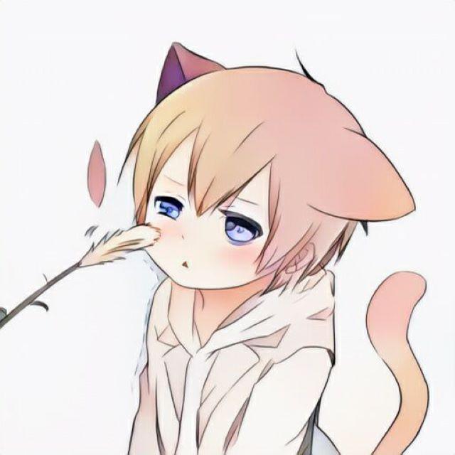 パプリカ（红辣椒）（翻自 Foorin）封面