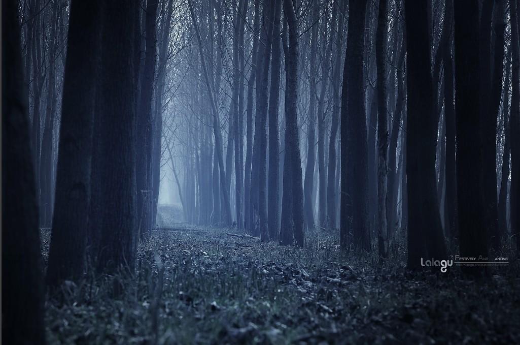 Craig David-Insomnia（WOLF / P.D remix）