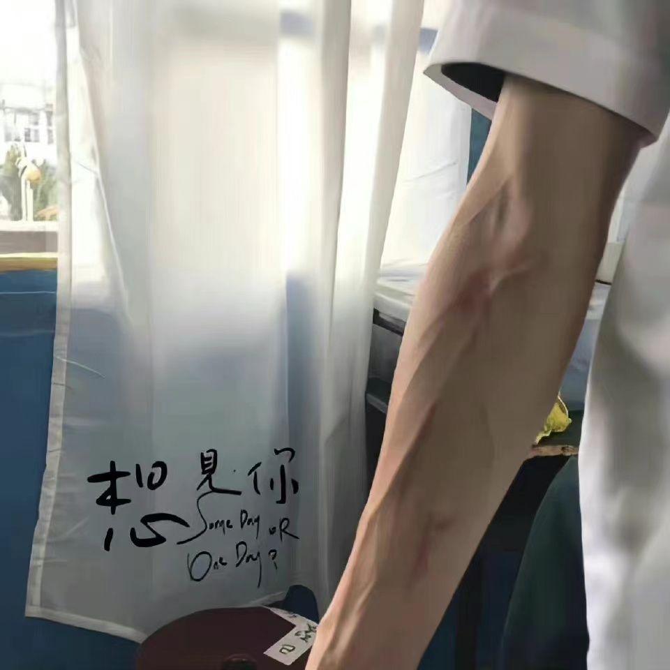 水的记忆封面