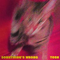 Something's Wrong -EP-