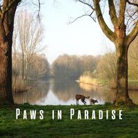 Paws in Paradise: Binaural Nature Music for Blissful Dogs