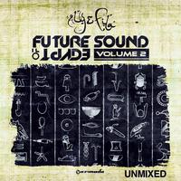 Future Sound Of Egypt, Vol. 2