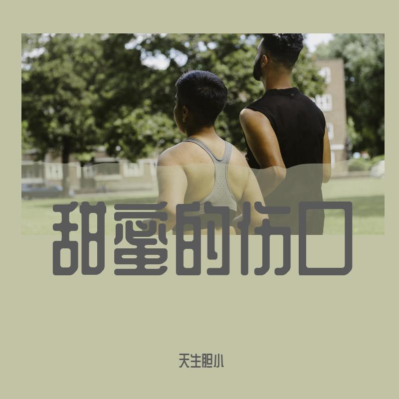 照样封面