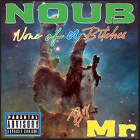 NOUB (None of u Bitches)