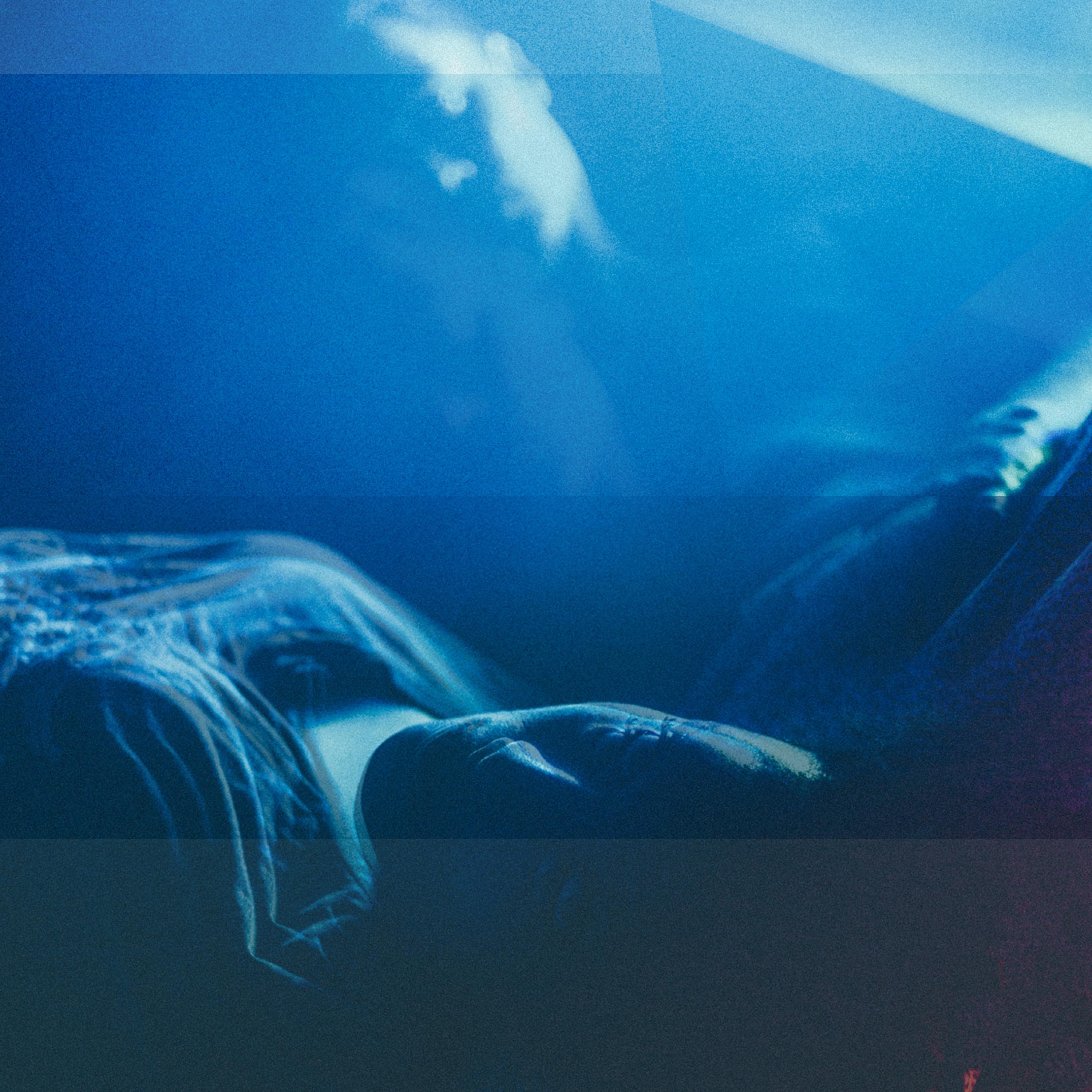 favorite. (sene remix.)