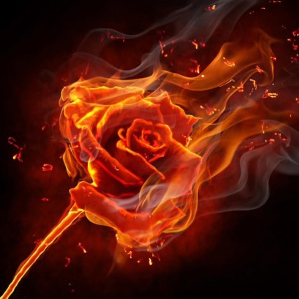 【欧美高燃曲】烈焰中绽放