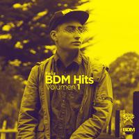 Bdm Hits, Vol. 1