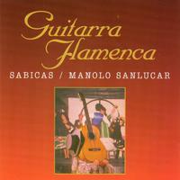 Guitarra Flamenca