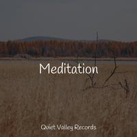 Meditation