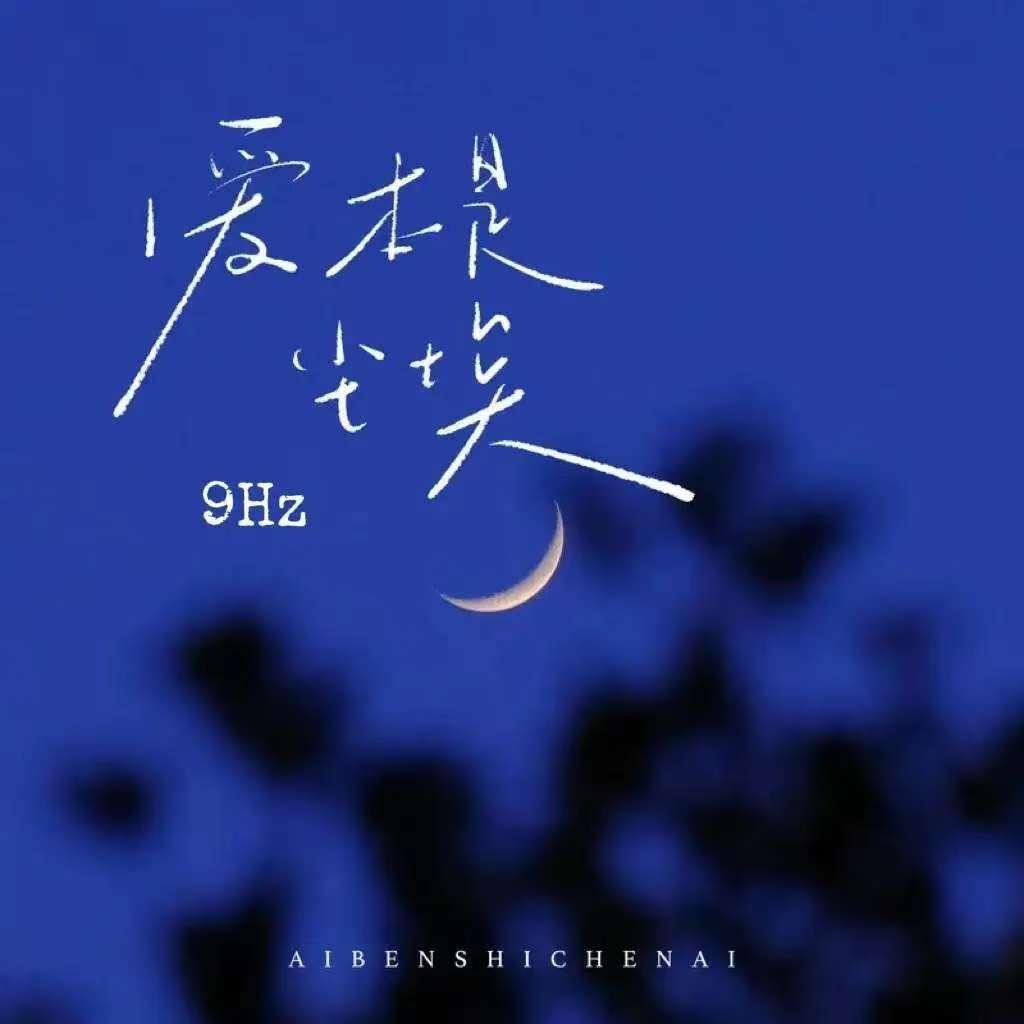 爱本是尘埃 - 9Hz封面