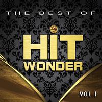 Hit Wonder: The Best Of, Vol. 1