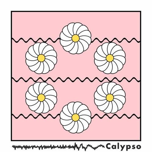 Calypso