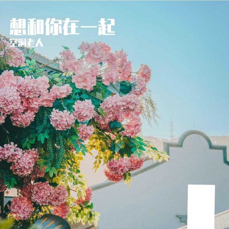 日常爱你 - 空洞老人封面