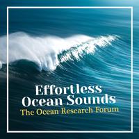 The Ocean Research Forum - Storms on the Coast