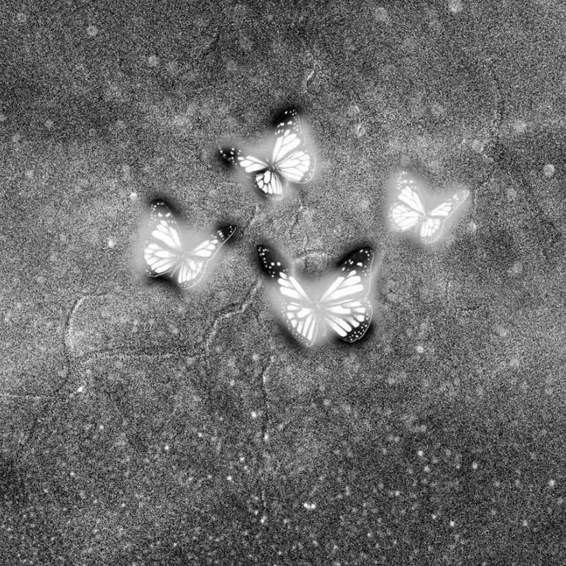 情歌 | rap | 如果rap会唱情歌&