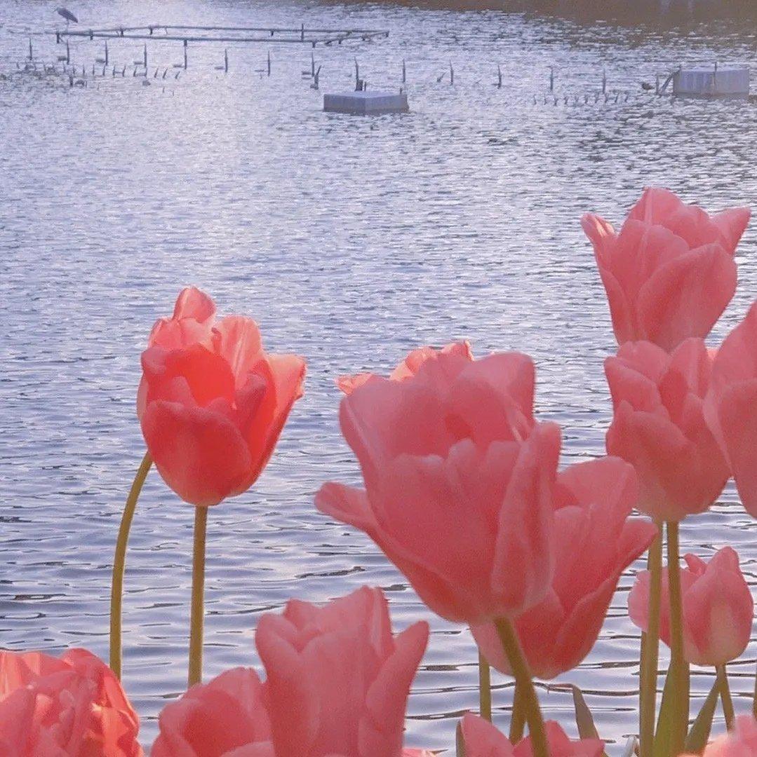 开口即沦陷丨那些年单曲循环的欧美歌曲