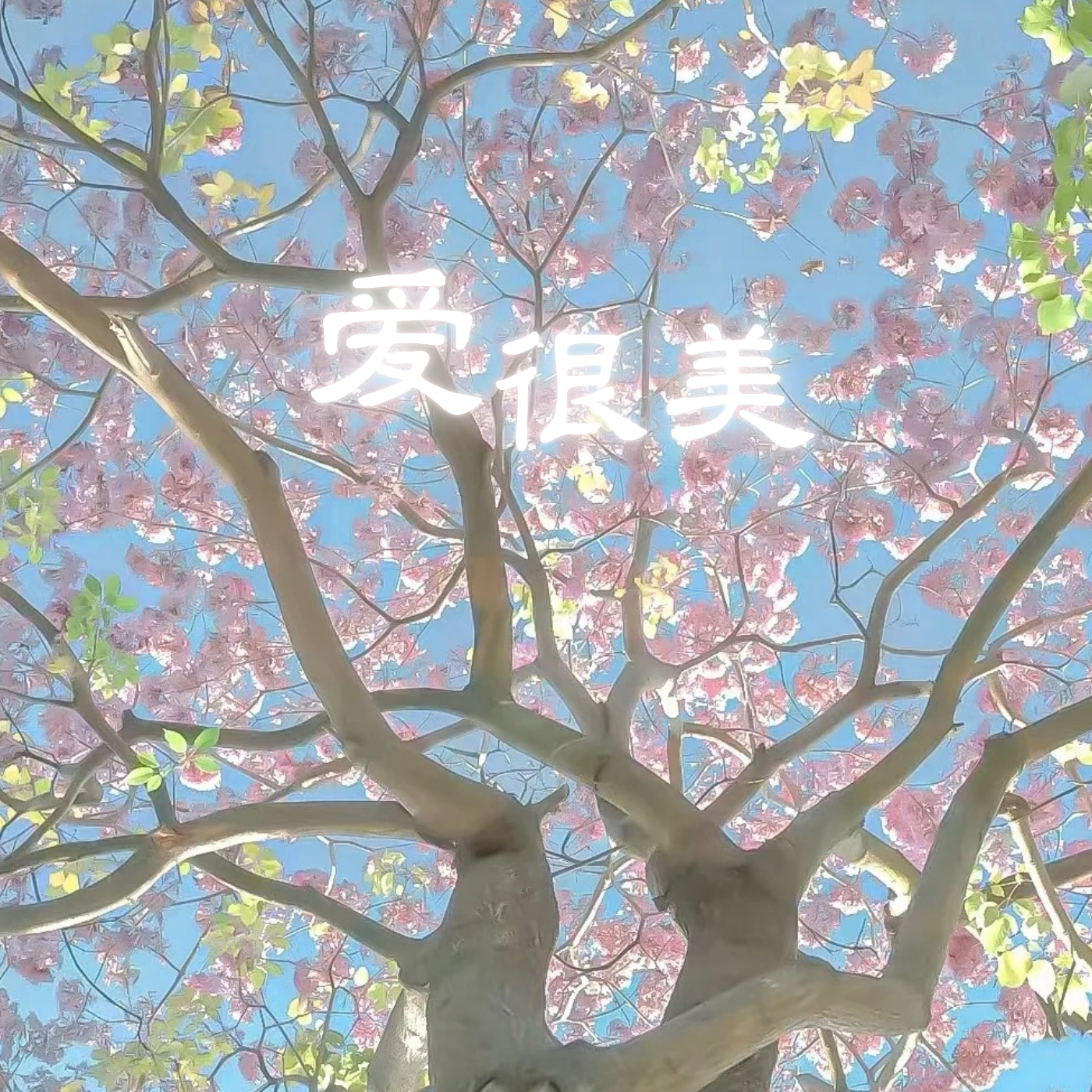 爱很美(2026Remix)封面