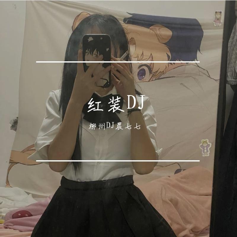 柳州DJ晨七七-红装 DJ - 柳州DJ晨七七封面