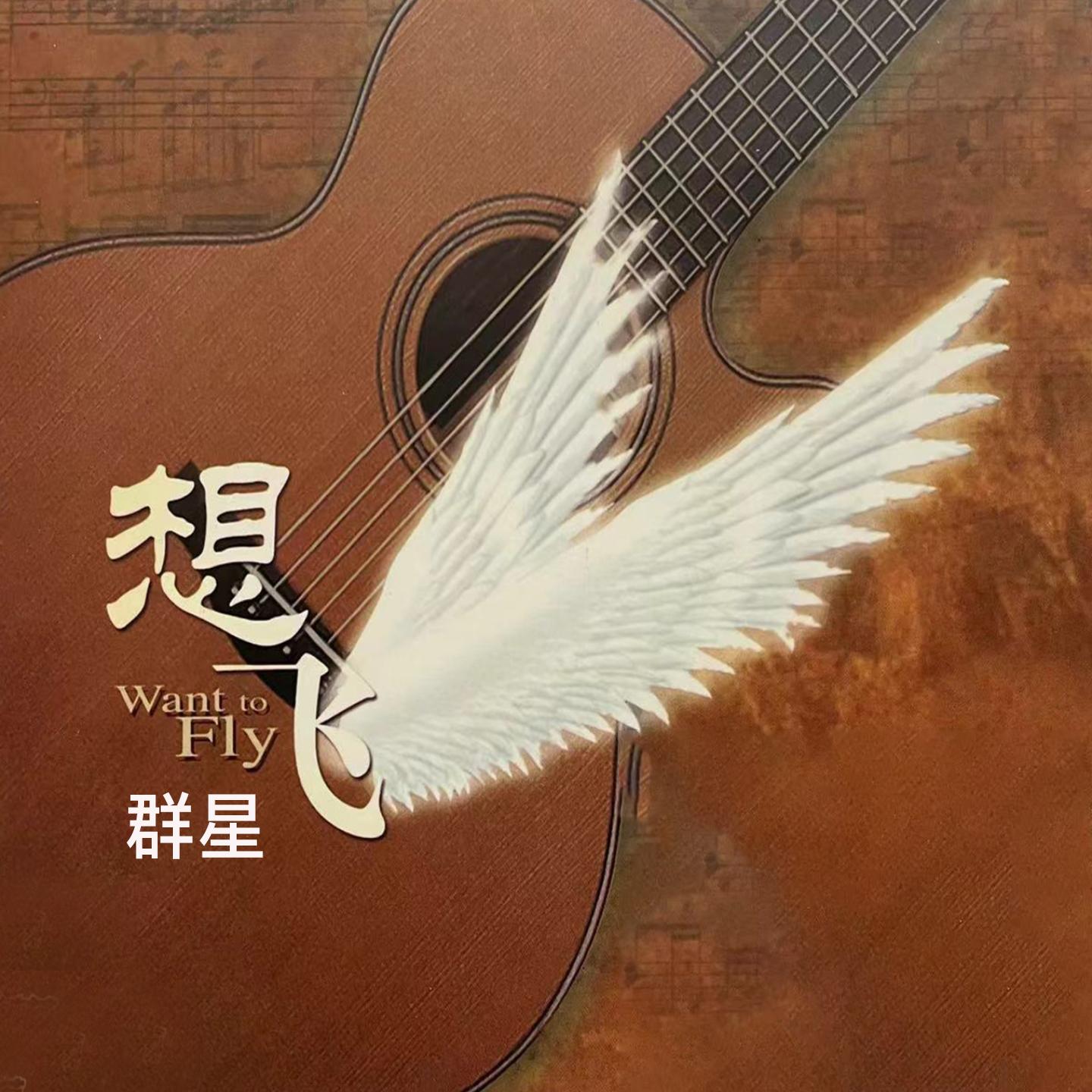 流浪兄弟封面