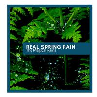 Real Spring Rain - The Magical Rains