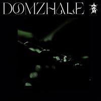 DOMZHALE (feat. Kai Virtual & Dansky)