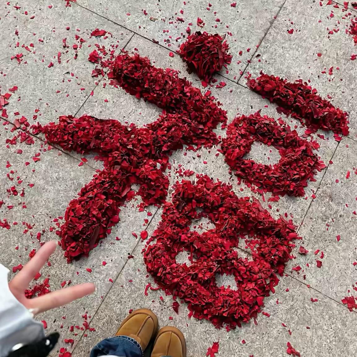 萧炎进行曲（大合集）封面