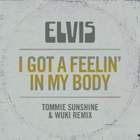 I Got a Feelin' in My Body (Tommie Sunshine & Wuki Remix)