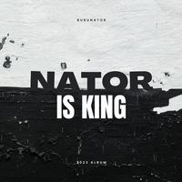 Nator Is King