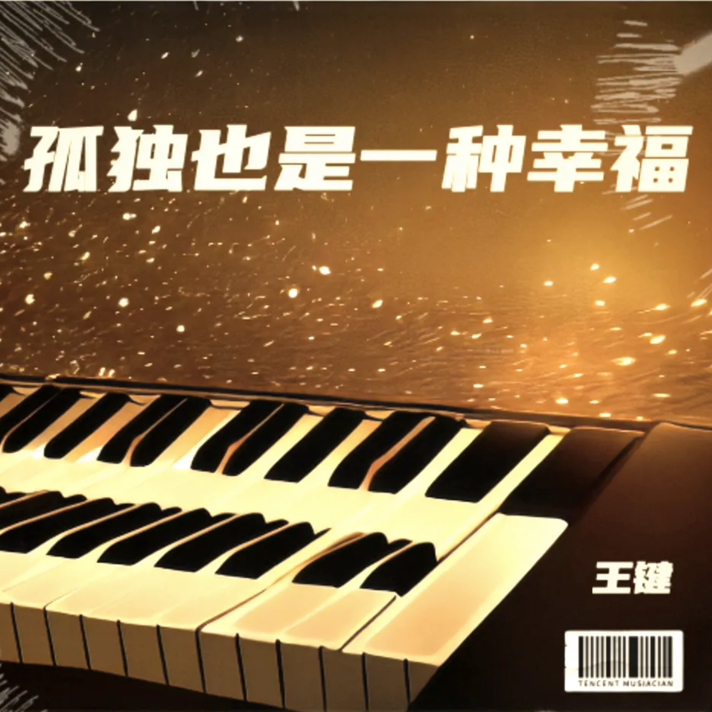 孤独也是一种幸福  伴奏封面