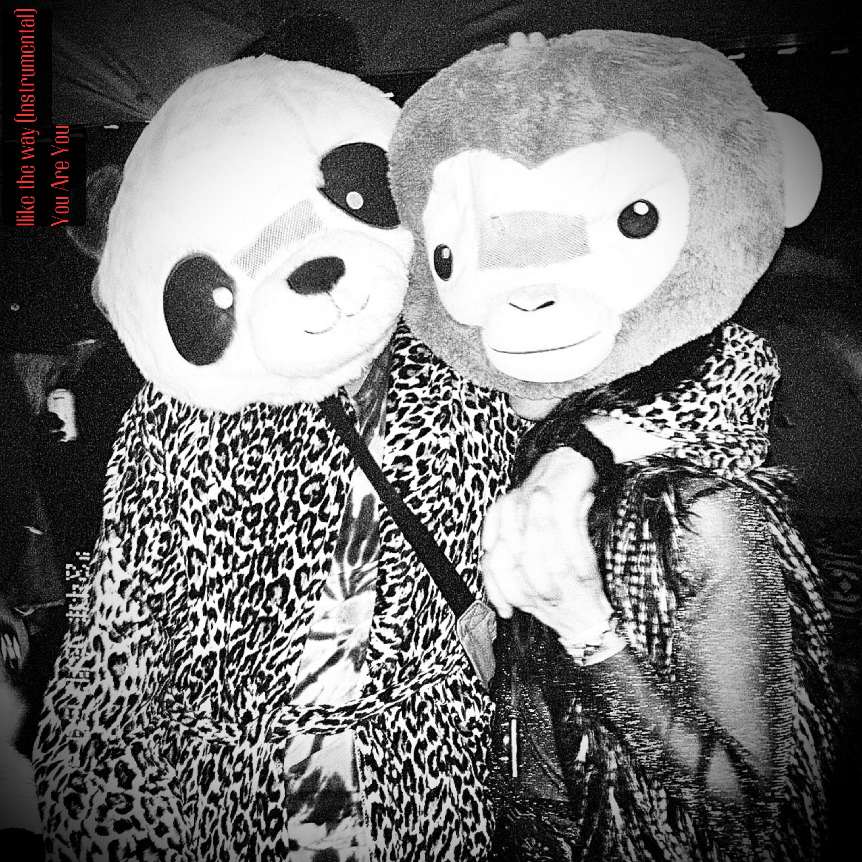 I like the way (Instrumental)