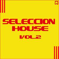 Seleccion House Vol. 2