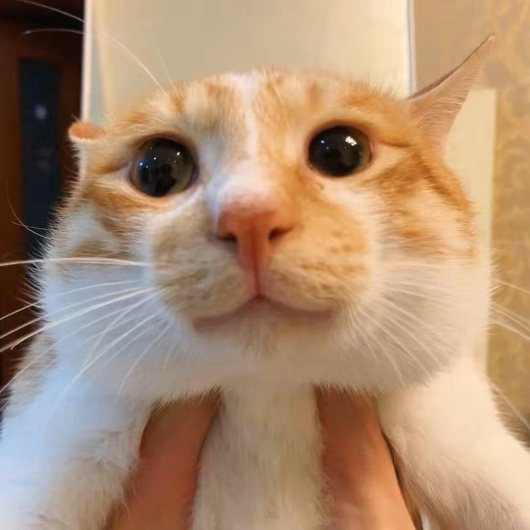 lolololololololololoIo