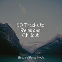 50 Tracks to Relax and Chillout